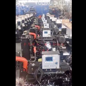 豐茂動力柴油發電機組視頻